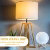 B22 T28 Pygmy Bayonet LED Light Bulbs 2W 4-Pack