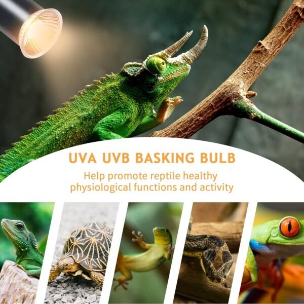 E27 Reptile Heating Lamp, 50W UVA UVB Turtle Basking Light Bulb