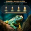 E27 Reptile Heating Lamp, 50W UVA UVB Turtle Basking Light Bulb