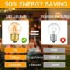 G40 E27 Vintage Night Light LED Filament Bulbs 1W 6 Pack
