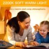 G40 E27 Vintage Night Light LED Filament Bulbs 1W 6 Pack