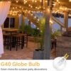 25 Pack G40 E12 7 Watt Incandescent Replacement Bulbs