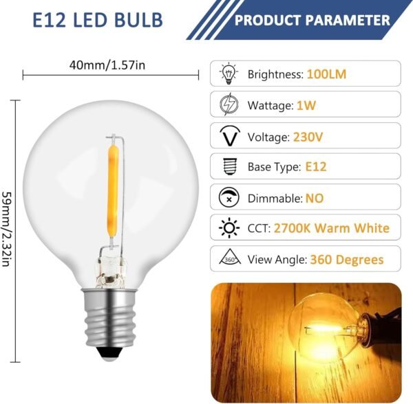 G40-LED-1W-10P1 10 Pack G40 E12 1W LED Bulbs Outdoor 220V Warm White 2700K