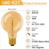 E27 G80 Globe Vintage Edison Light Bulbs 2 Pack