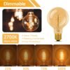 E27 G80 Globe Vintage Edison Light Bulbs 2 Pack