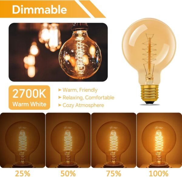 E27 G80 Globe Vintage Edison Light Bulbs 2 Pack
