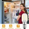 T22 LED E14 Fridge Filament Light Bulbs 2W Pack of 4